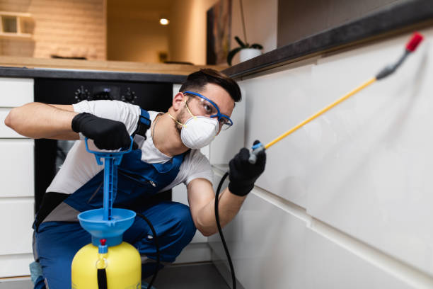 Best Pest Control Near Me in Earle, AR