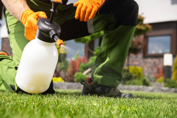 Best Wasp Removal Services  in Ele, AR