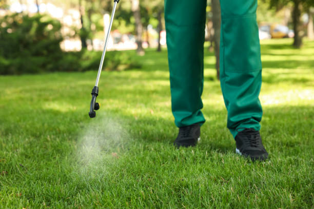 Best Pest Prevention Services  in Ele, AR