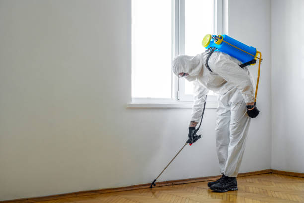 Best Residential Pest Control  in Ele, AR