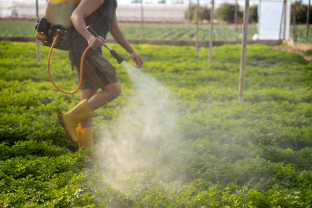 Best Mosquito Control Services  in Ele, AR