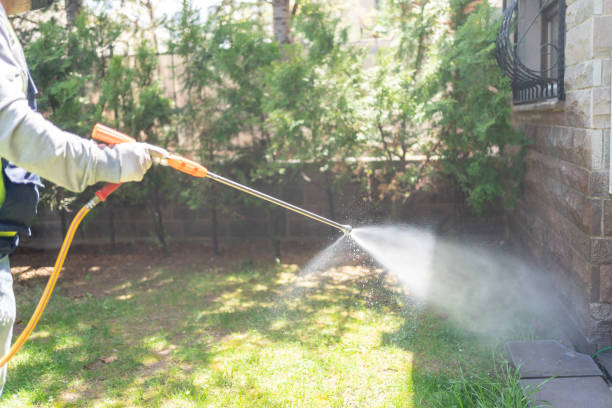 Best Flea Control Services  in Ele, AR