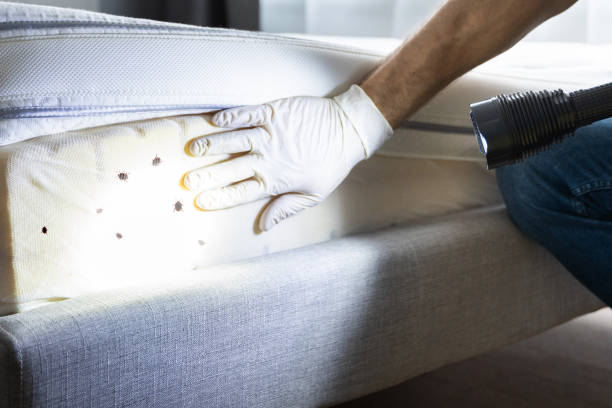 Best Exterminator Services  in Ele, AR