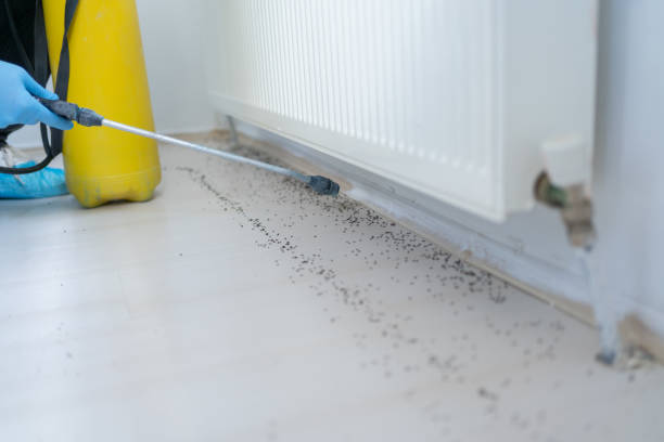 Best Best Pest Control Companies  in Ele, AR