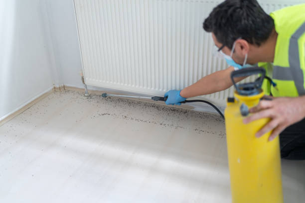 Pest Prevention Services in Earle, AR
