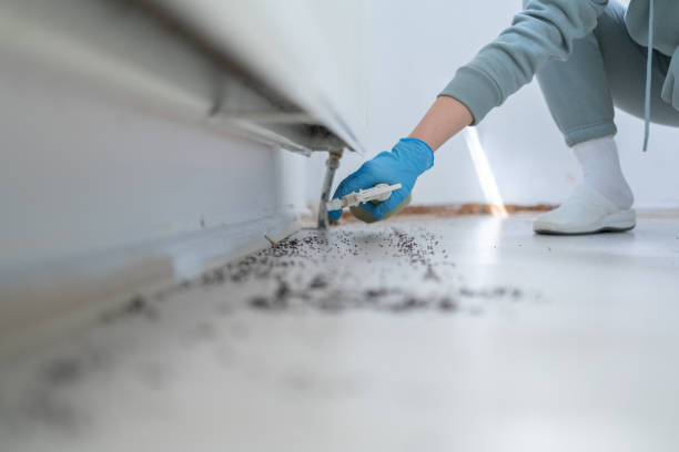  Ele, AR Pest Control Pros