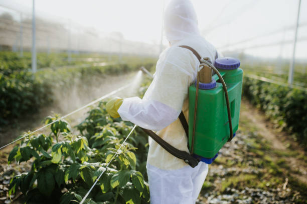 Professional Pest Control in Earle, AR